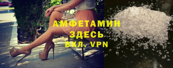 твердый Арсеньев