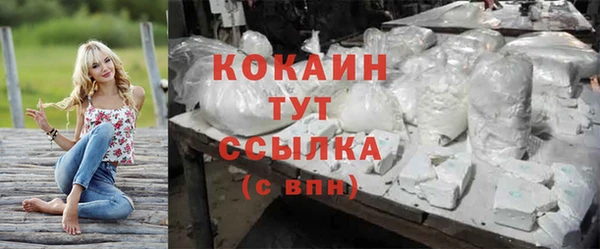 твердый Арсеньев