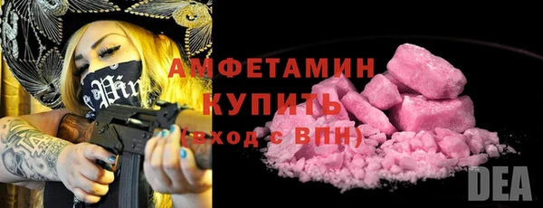 твердый Арсеньев