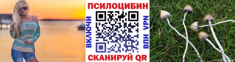Псилоцибиновые грибы мухоморы Тимашёвск
